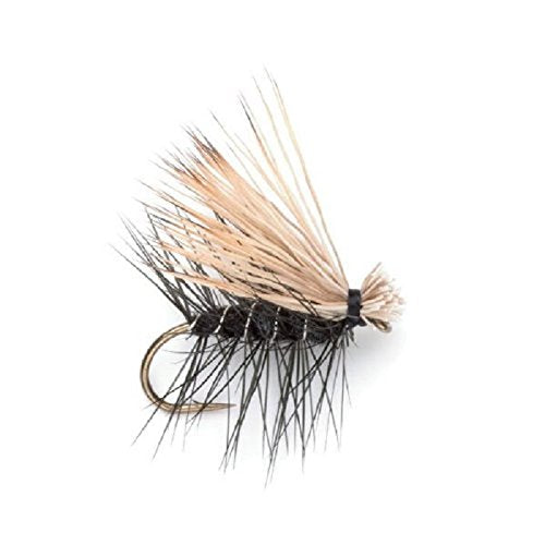 Elk Hair Caddis Dry Fly Assortment - 10 Premium Fishing Flies in 5 Patterns - Korvel