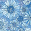 Tela de algodón de fondo ancho Blue Best Friends Sleepovers