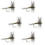 Premium Blue Winged Olive Dry Flies - Set of 6 Size 18 for Trout Fishing - Korvel