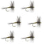 Premium Blue Winged Olive Dry Flies - Set of 6 Size 14 for Trout Fishing - Korvel