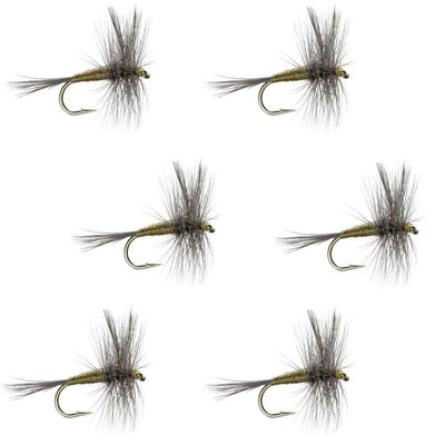 Premium Blue Winged Olive Dry Flies - Set of 6 Size 20 for Trout Fishing - Korvel