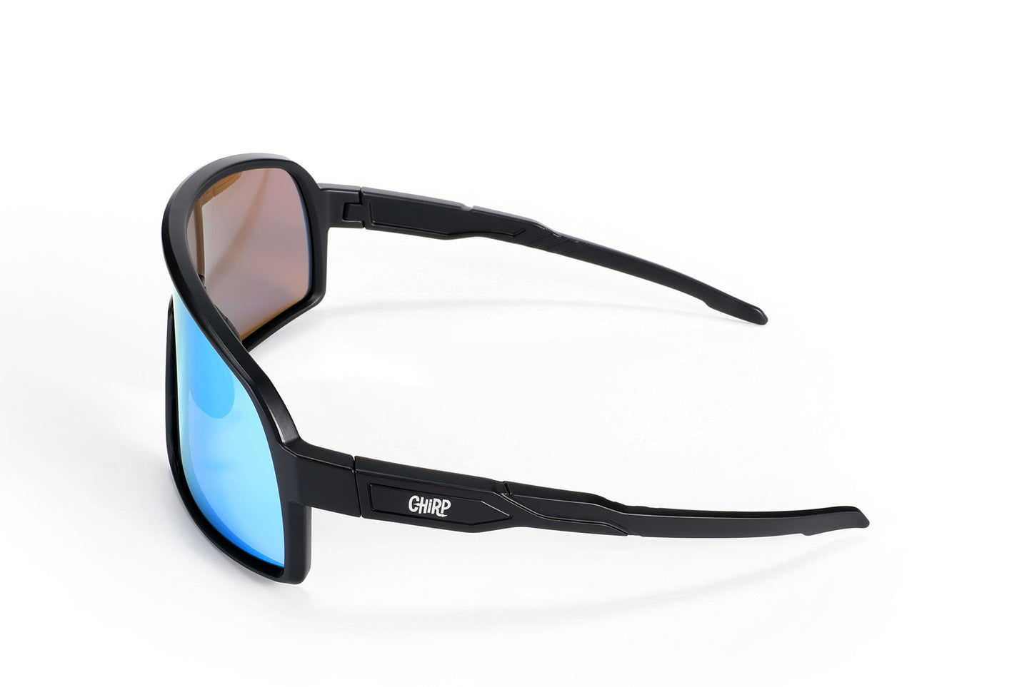 Blue Sty Polarized Ski Goggles