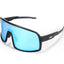 Blue Sty Polarized Ski Goggles