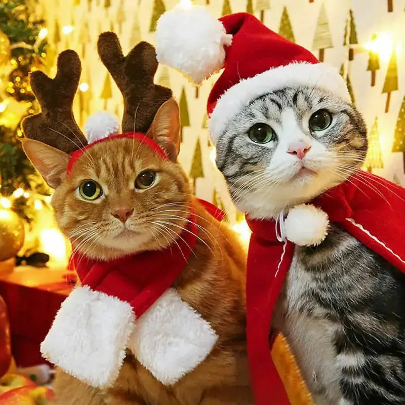 Festive Pet Christmas Costume