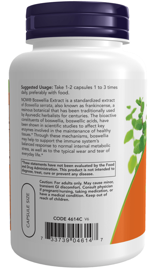 Premium Boswellia and Turmeric Extract 250mg - Korvel