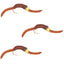 3-Pack San Juan Bead Head Power Worms - Brown V-Rib, Size 12 - Korvel
