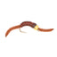 San Juan Bead Head Power Worm Brown V-Rib - 1 docena de anzuelos tamaño 14