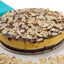 Pastel de Queso con Brownie de Fudge Gourmet Sin Azúcar Andy Anand 9" - 2.8 lbs