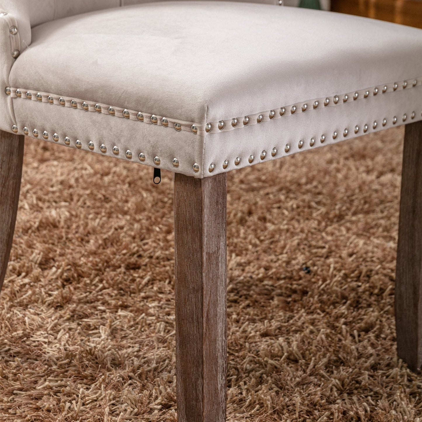 Nikki Collection Modern High-end Tufted Solid Wood Contemporary Velvet Upholstered Dining Chair 2-Pcs SetBeige - Korvel