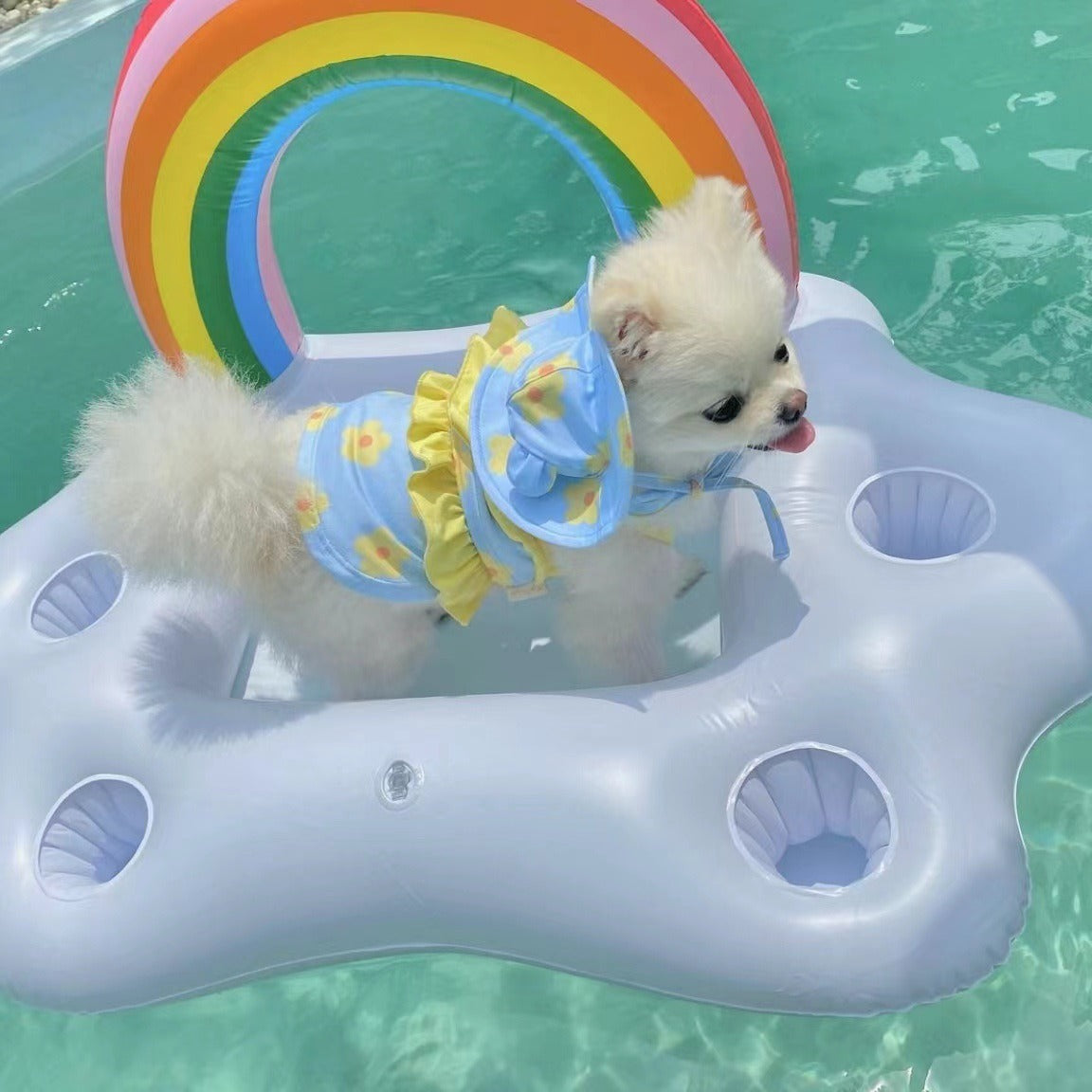 Pet swimsuit jumpsuit with bikini dog breathable vest swimsuit teddy bear - Korvel