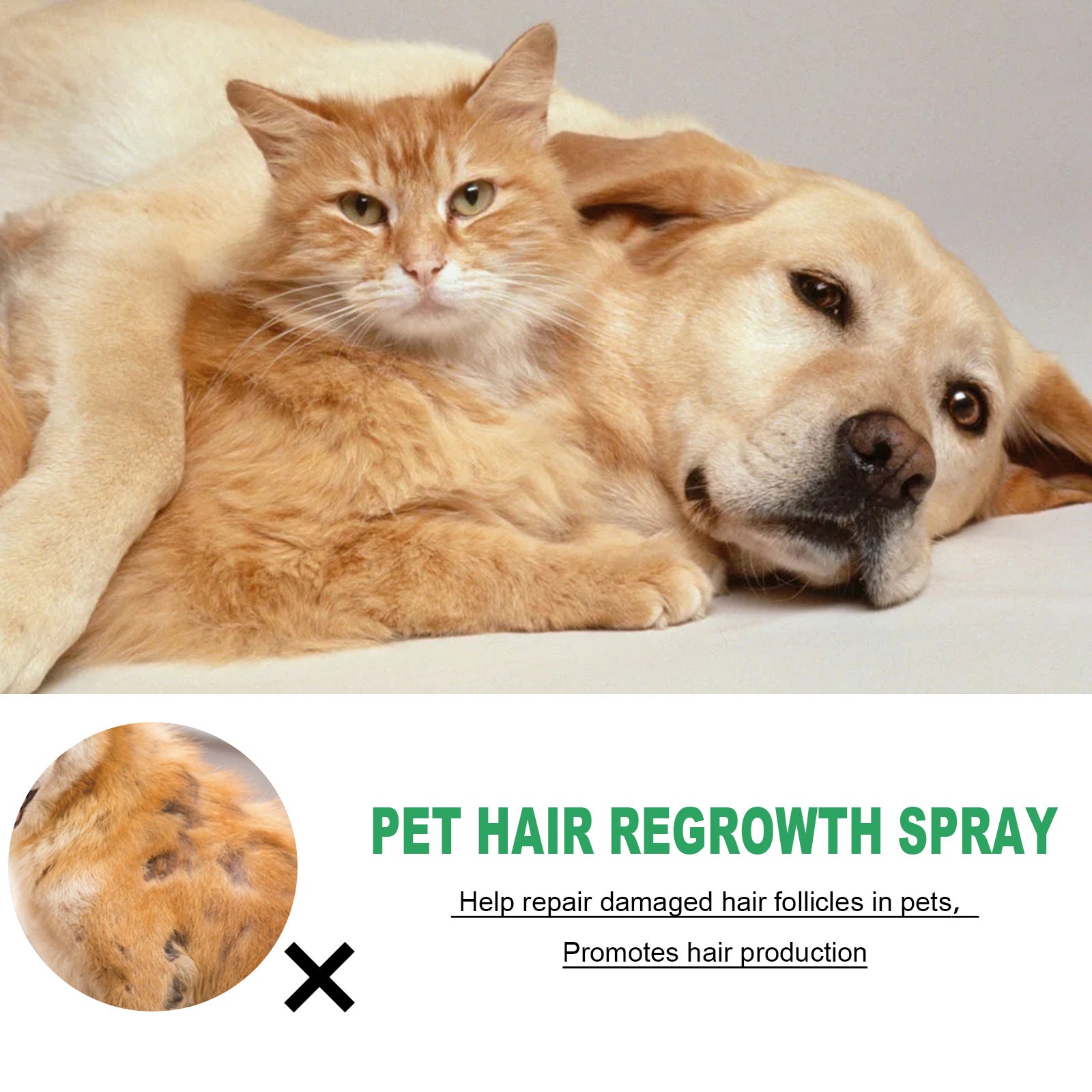 Pet Hair Growth Spray for Cats and Dogs - Hair Care Treatment for Damaged Follicles and Hair Loss - Korvel