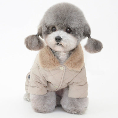 Winter New Pet Cotton Coat Dog Cotton Coat Dog Clothes Pet Clothes Dog Clothes Teddy Clothes - Korvel