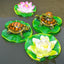 Turtle resin ornaments floating on the water surface - Korvel