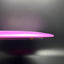 Bravo Bowie Distance Driver