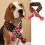 Knitted Christmas Dog Scarf with Elk Design