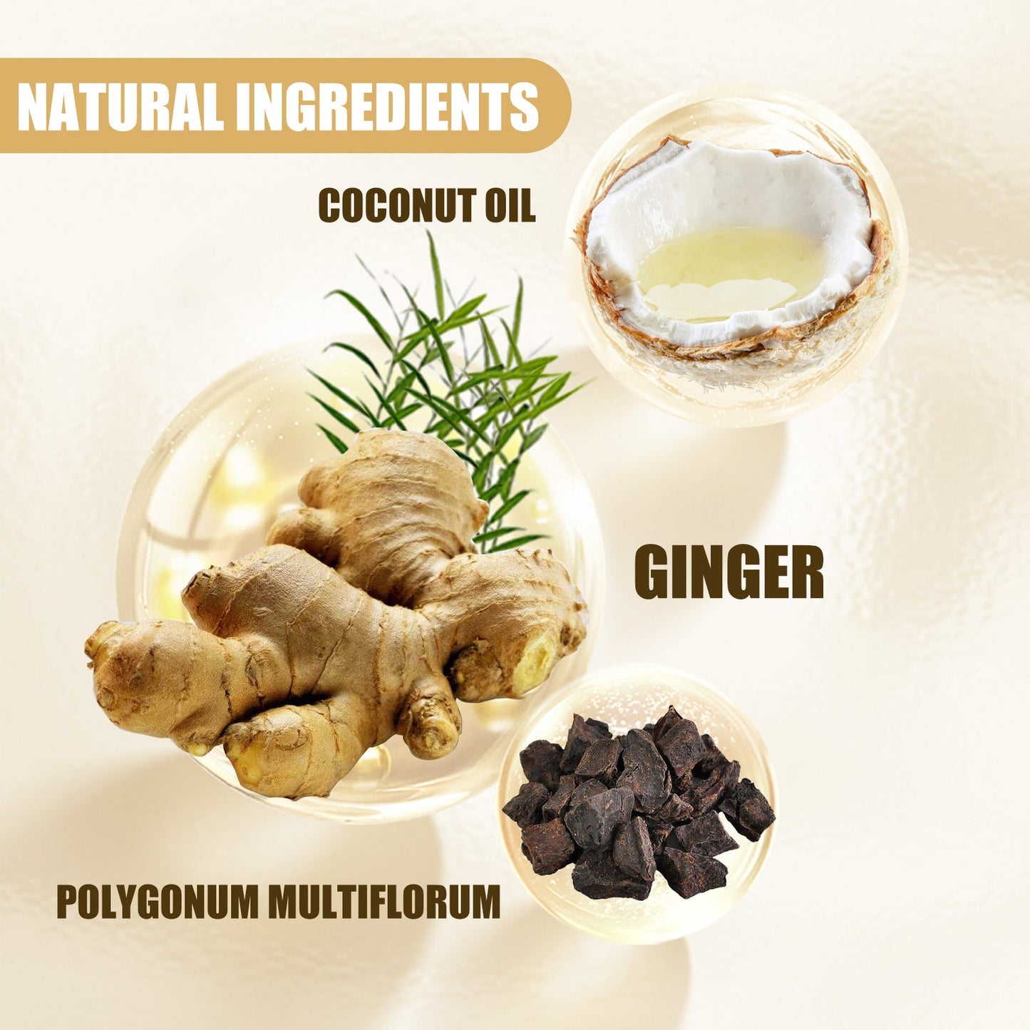Ginger Juice Moisturizes Hair, Moisturizing And Repairing Hair Follicle Hair Strong Anti-Shampoos - Korvel