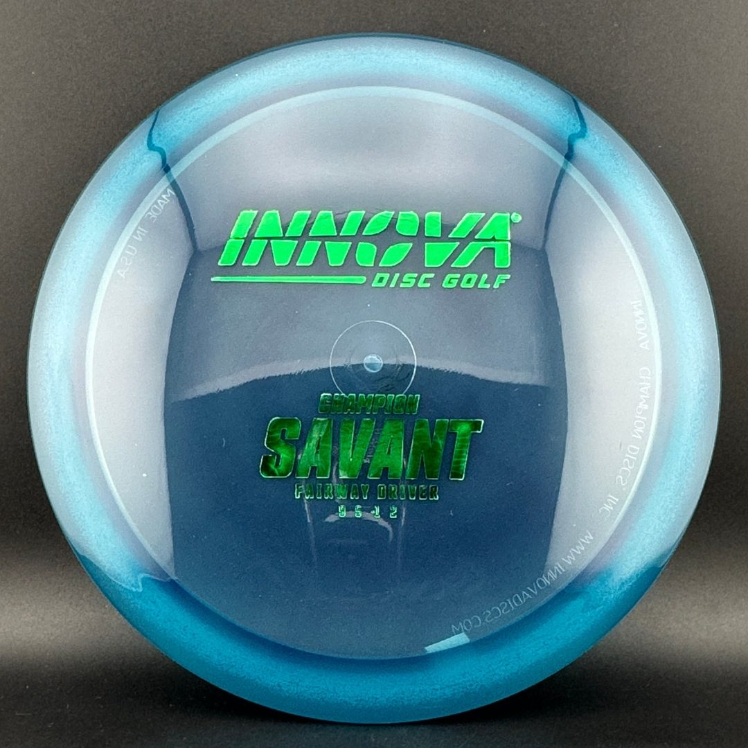 Champion Savant Disc Golf Driver