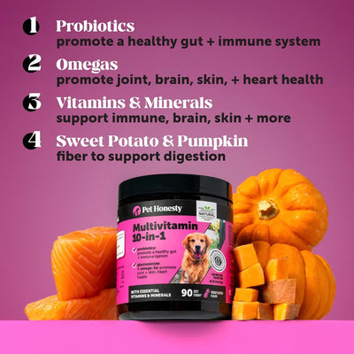 Premium Multivitamin Chews for Dogs