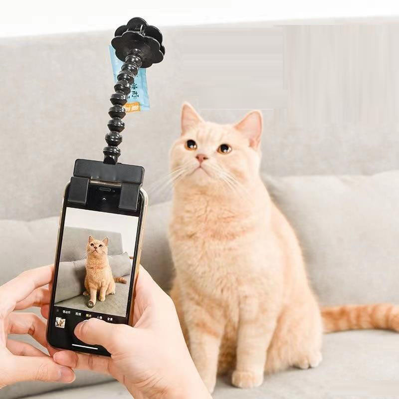 Pet Photography Teddy Camera Toy Stand