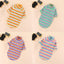 Netizen Teddy Little Dog Clothes Basecoat Summer Wear Thin Cotton Pet Clothing Spring Summer Cat - Korvel