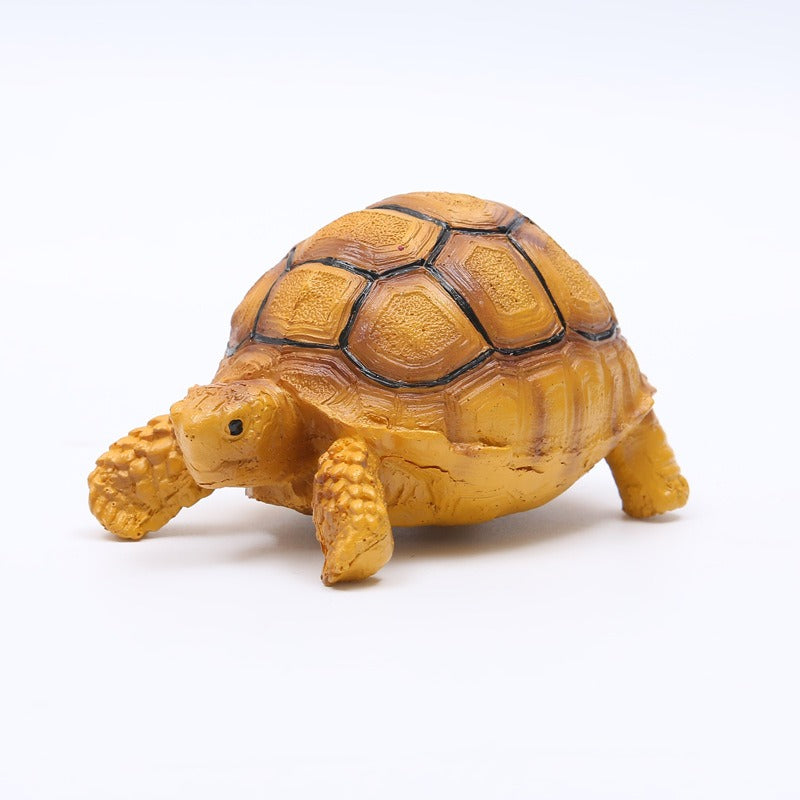 Turtle Brazilian turtle pet resin ornaments - Korvel
