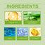 Aloe Vera Firming Moisturizer, Gentle Moisturizing Facial Skin Glow Moisturizing Cream - Korvel