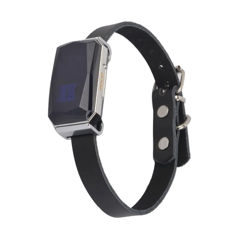 G12 Suivi GPS Intelligent pour Animaux de Compagnie : Collier Étanche Anti-Perte