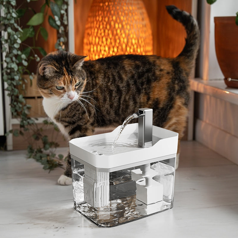 Automatic cat water fountain with filter, USB-powered, anti-dry & circular filtration. - Korvel