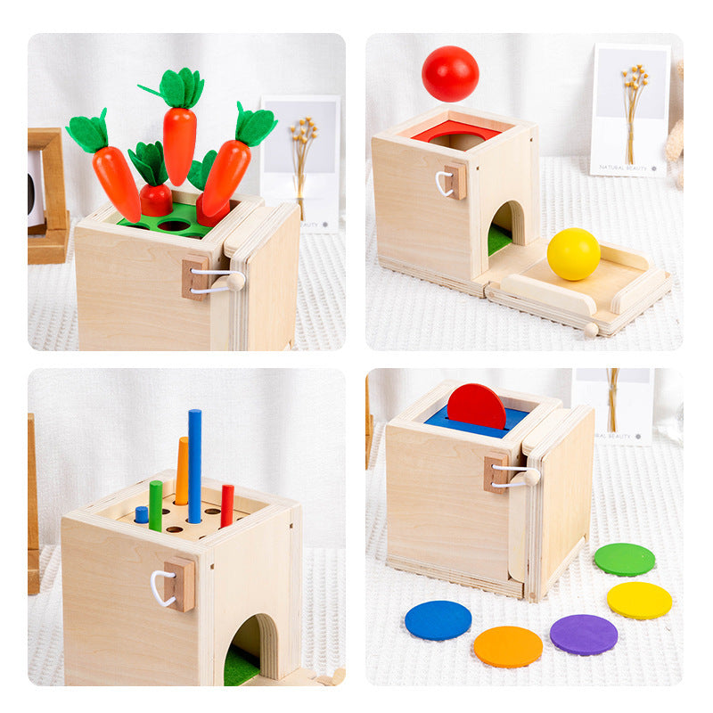Montessori Four in One Coin Box Multi functional Stick Pulling Carrot Preschool Building Blocks Color Matching Intelligence Box Toy - Korvel