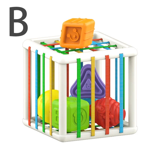 Montessori Geometric Shape Blocks for Infants