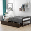 Espresso Twin Size Platform Bed with Two Drawers