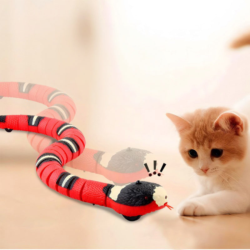 USB Rechargeable Interactive Cat Toy with Smart Sensing, an Automatic Electronic Snake for Kittens' Indoor Play. - Korvel