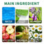 Color Correction Treatment Cream, Lighten Spots After Sun Repair Moisturizing Skin Beauty Cream - Korvel
