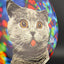 Fuzion Felon - DyeMax - Space Kitty Trippin Disc