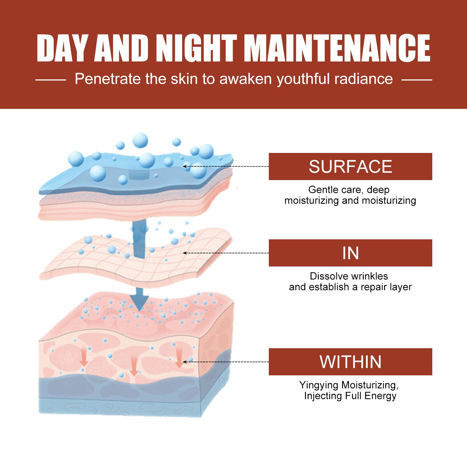 Palmitoyl Peptide Reversal Serum, Fade Lines Moisturizing Firming Anti-wrinkle Essence - Korvel