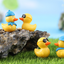 Bryophyte Miniature Landscapes, Succulent Plant Decorations, Doll Figurines, Travel Duck Souvenirs, DIY Material Kits - Korvel
