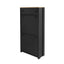 ONTREND Black Shoe Cabinet with 2 Flip Drawers