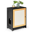 Elegant Cat Litter Box Enclosure with Sisal Door - Black