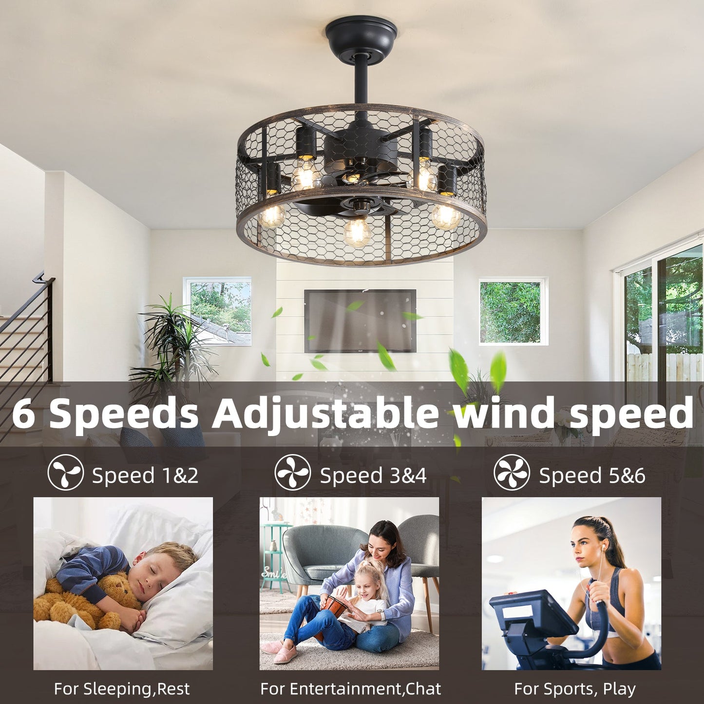 19.7-Inch Classic Ceiling Fan with Light
