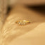 925 Sterling Silver Inlaid Zircon Fish Ring - Korvel