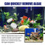 Premium Algae Removal Agent for Aquariums
