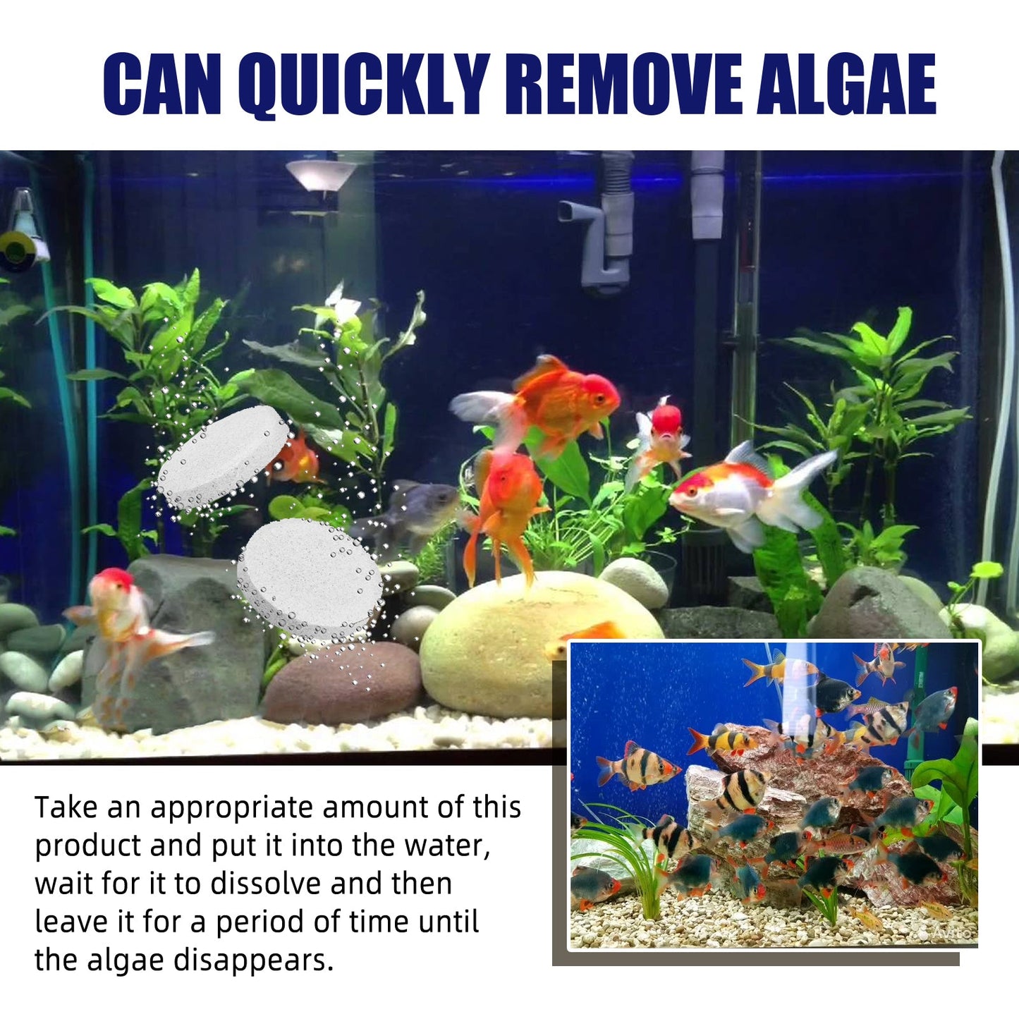Premium Algae Removal Agent for Aquariums