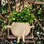 Swing Face Planter Resin Plant Succulent Pots Creative Wall Hanging Head Planter Multifunctional Home Garden Patio Accessories - Korvel
