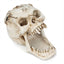 Fang Fang Terror Face Skull Storage Pen Holder Office Desktop - Korvel