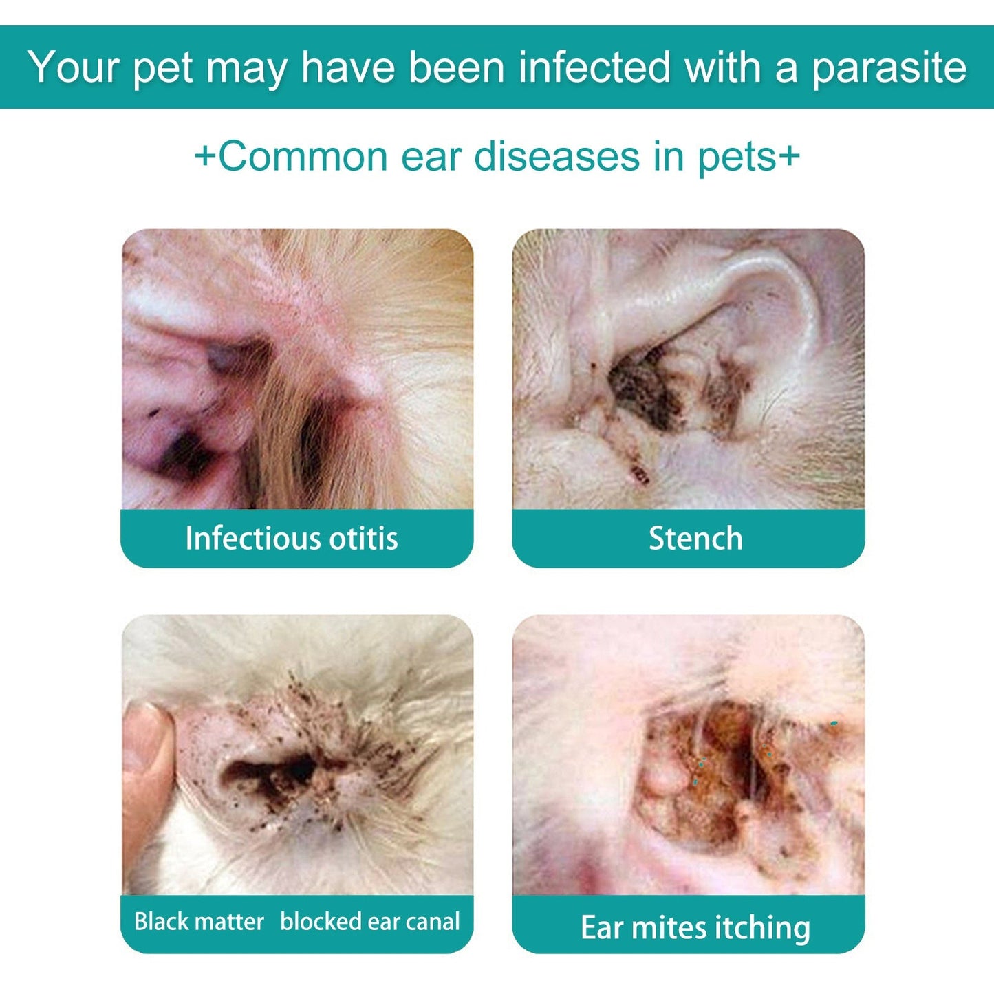 Premium Pet Ear Cleaning Oil for Cats and Dogs - 30ml