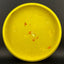 Putter de Disc Golf Jawbreaker Challenger