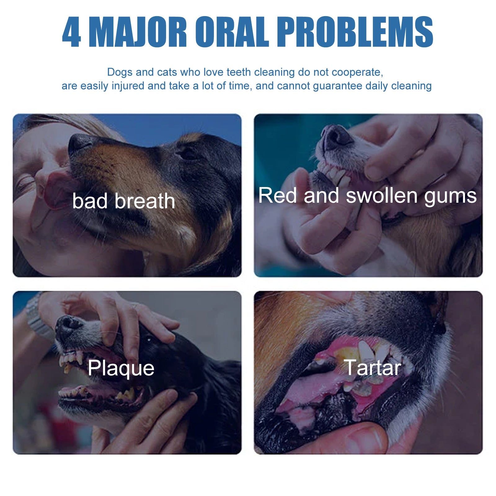 Pet Tartar Remover, Removing Dental Calculus Yellow Teeth Halitosis Cleaning Teeth Mouth Foam Cleaner - Korvel