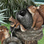 Solar resin duck garden fountain with LED squirrel design, outdoor decor (E2). - Korvel