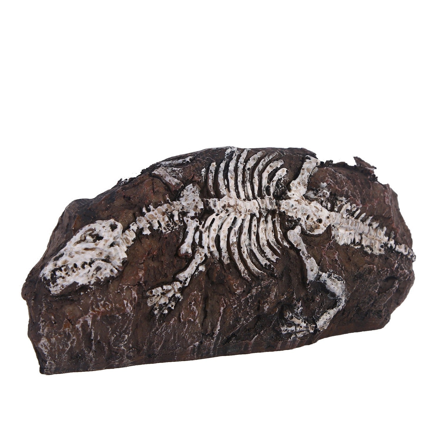 Fossil aquarium fish tank resin ornaments - Korvel