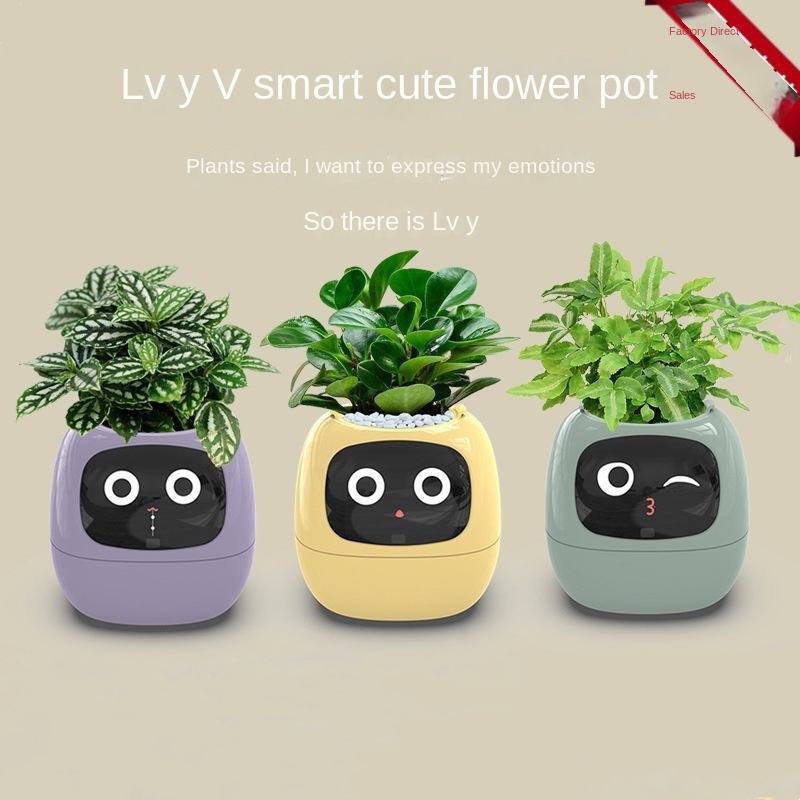 USB Auto Absorbent Planter Brand New PP Resin Plastic Round Eco-friendly Interactive - Korvel